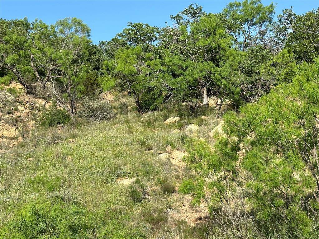 Brownwood, TX 76801,5730 Gobbler Hollow