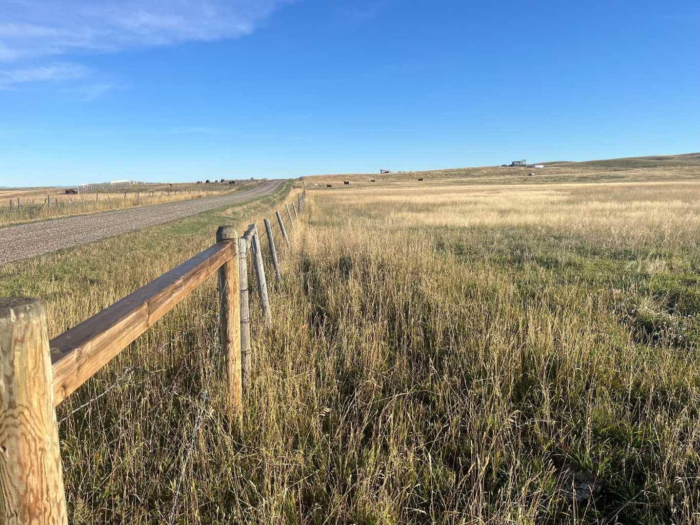 Leavitt, AB T0K0K0,On Range Road 270