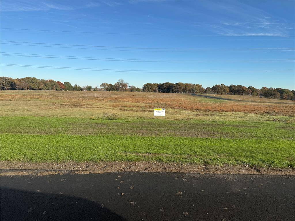 Dodd City, TX 75438,lot 102 Wildflower Way