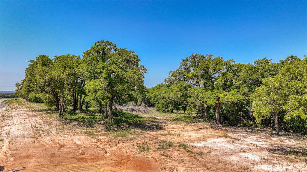 Poolville, TX 76487,Lot 23 Leo Lane