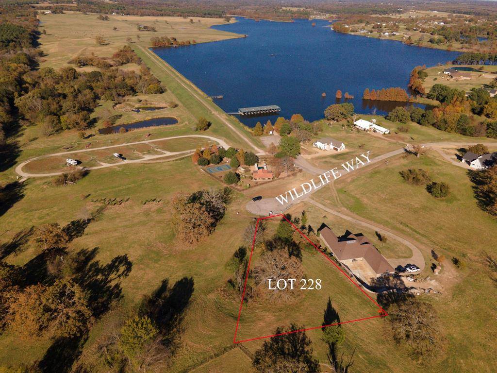 Athens, TX 75752,lots 246,247,228 Overlook Pt & Wildlife Way