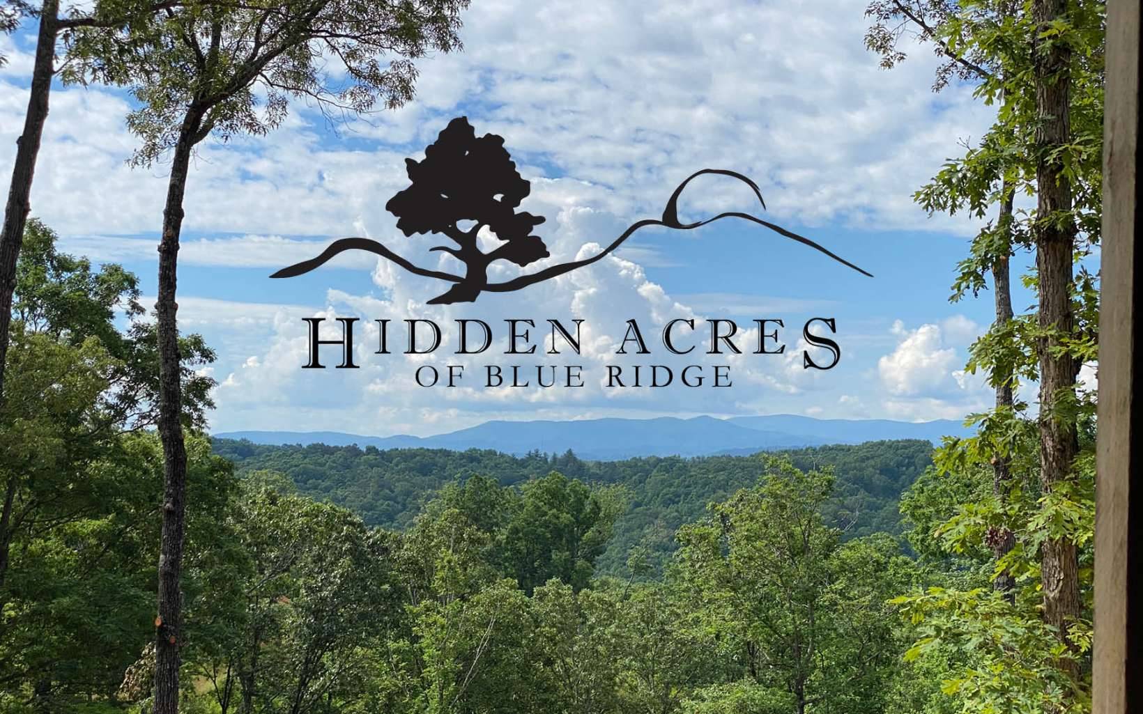 Blue Ridge, GA 30513,LT 20 Hidden Acres