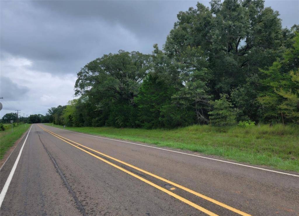 Grand Saline, TX 75140,TBD Tract 4 Fm 1255