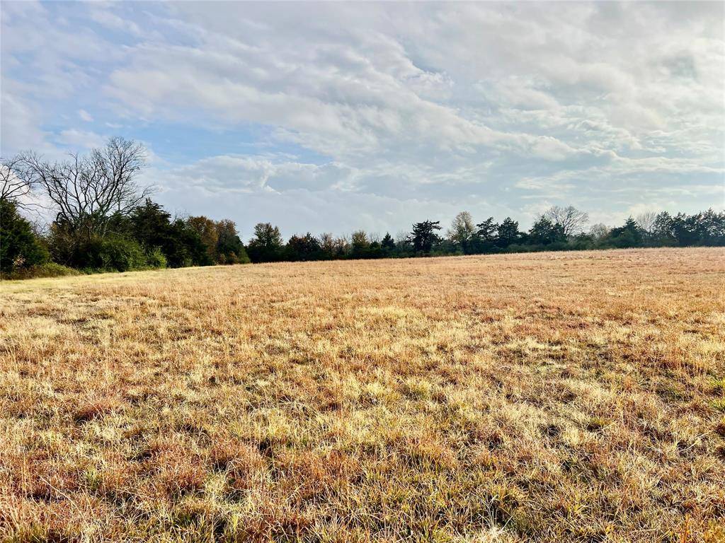 Sulphur Springs, TX 75482,14.7 Ac TBD Tx-154 S