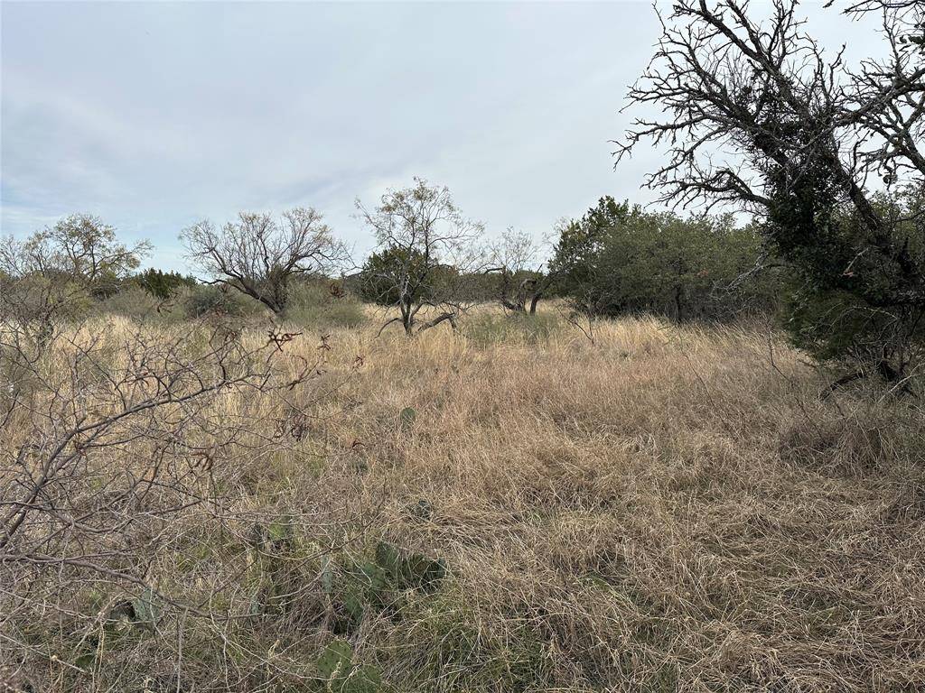 Brownwood, TX 76801,TBD lots 28, 30 County Road 589