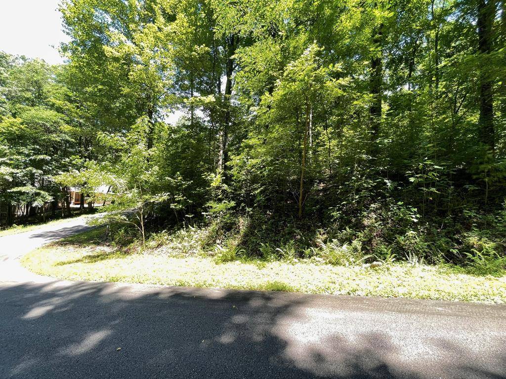 Hiawassee, GA 30546,Lot 4 Fodder Creek Mill Drive