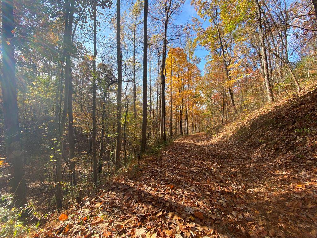 Hayesville, NC 28904,0 Upper Bell Creek Road