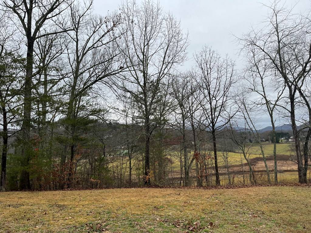 Hayesville, NC 28904,Lot 24 Arden Lane