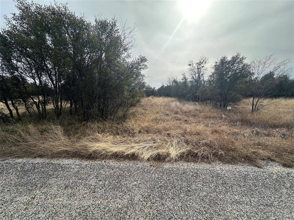 Brownwood, TX 76801,TBD Lot 60 County Road 600