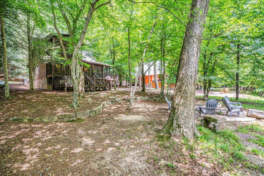 Ellijay, GA 30540,363 Muller Lane