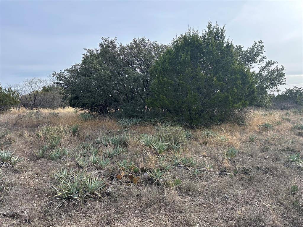 Brownwood, TX 76801,TBD Lot 70 Mcintire Road