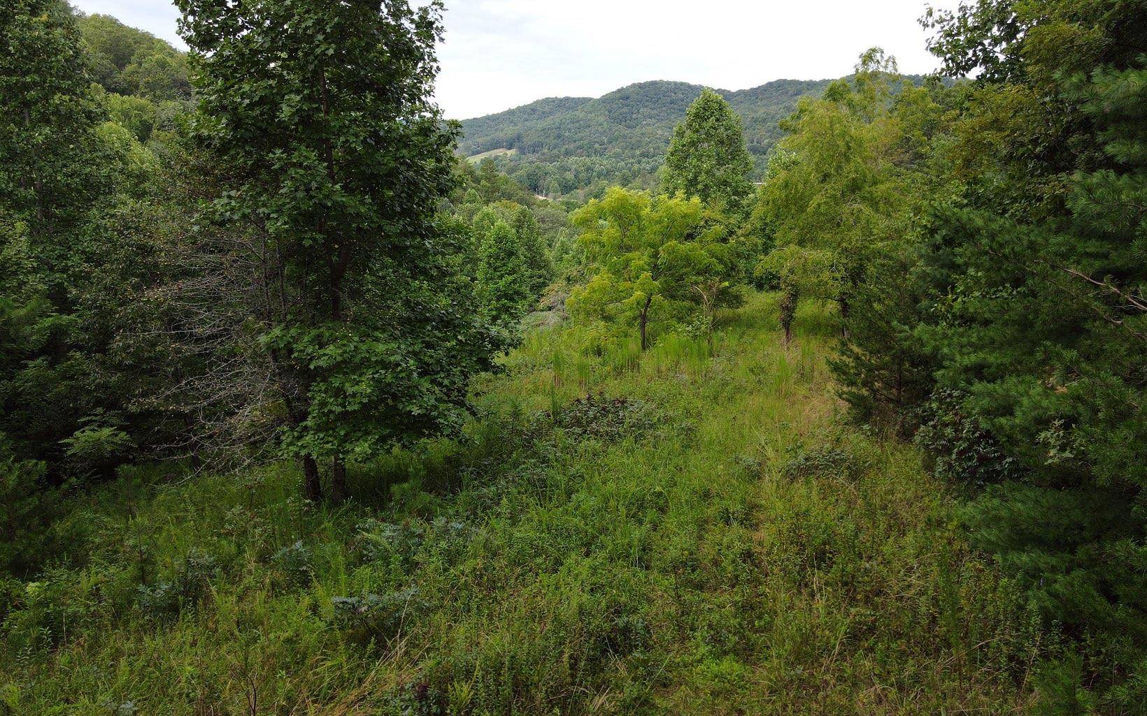 Hayesville, NC 28904,TBD Downings Creek