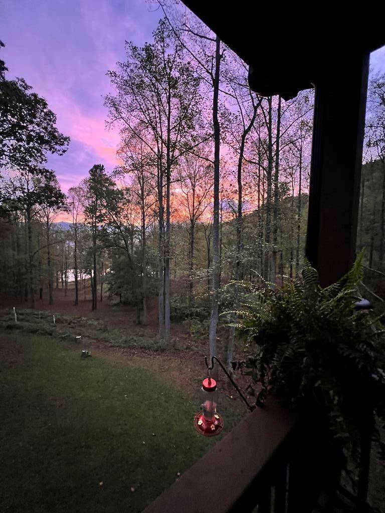 Hayesville, NC 28904,9 Cutters Way