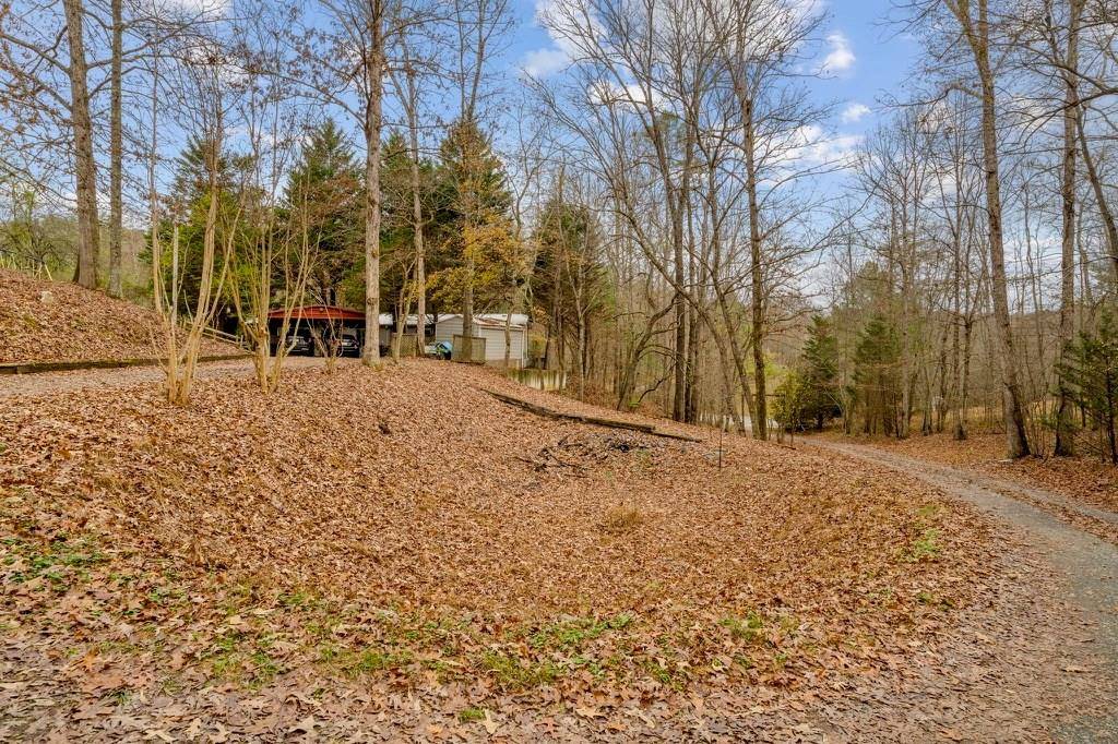 Mineral Bluff, GA 30559,150 Curtis Switch Road