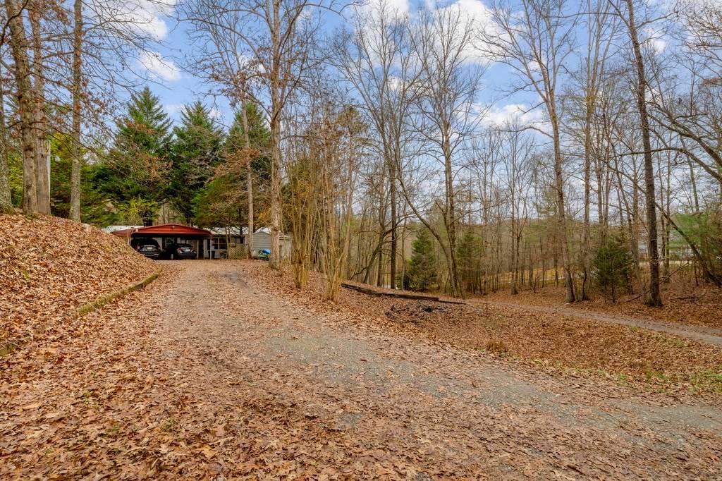 Mineral Bluff, GA 30559,150 Curtis Switch Road