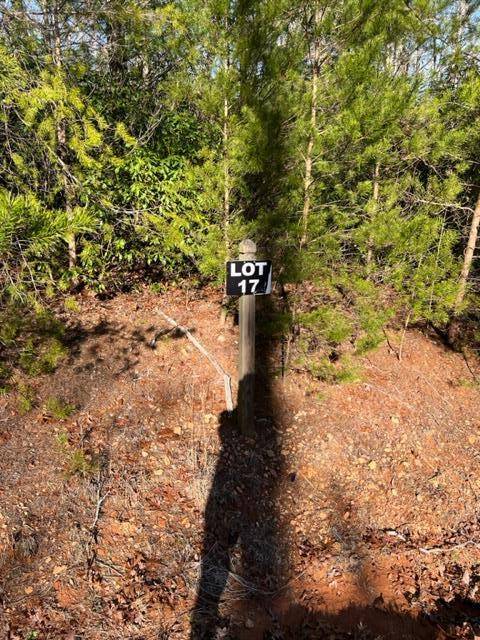 Ellijay, GA 30536,Lot 17 Frances Drive