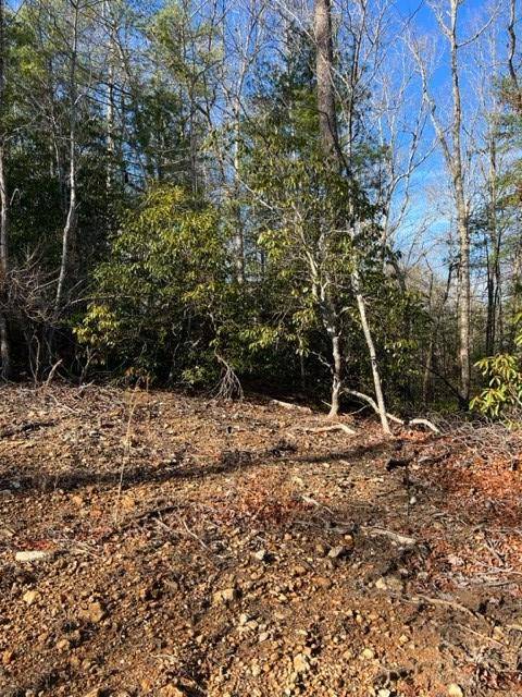 Ellijay, GA 30536,Lot 17 Frances Drive