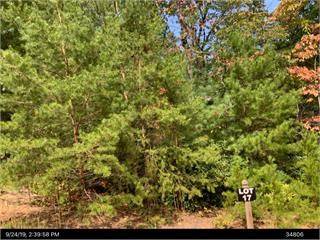 Ellijay, GA 30536,Lot 17 Frances Drive