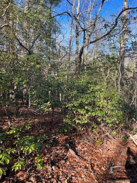 Ellijay, GA 30536,Lot 17 Frances Drive