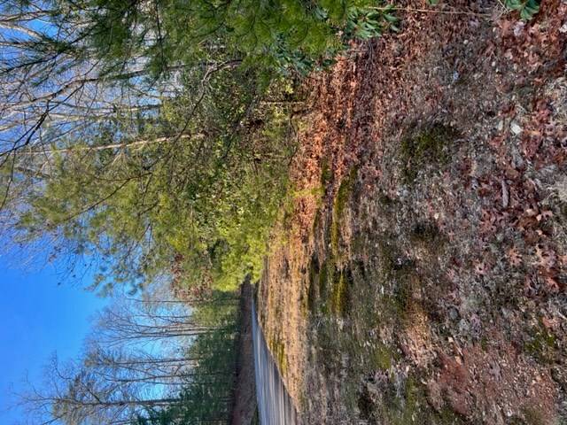 Ellijay, GA 30536,Lot 18 Frances Drive