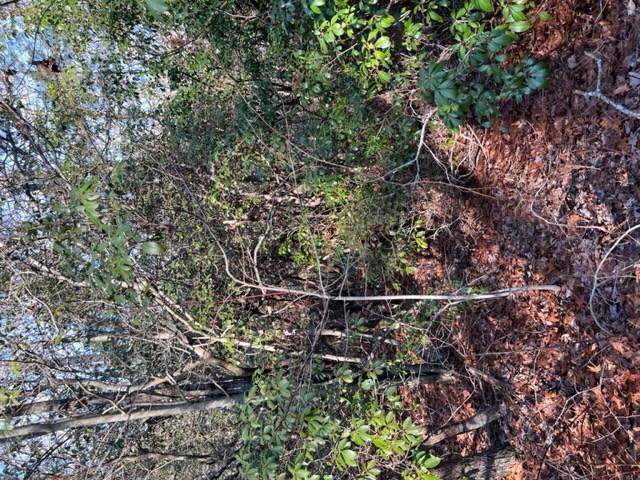 Ellijay, GA 30536,Lot 18 Frances Drive