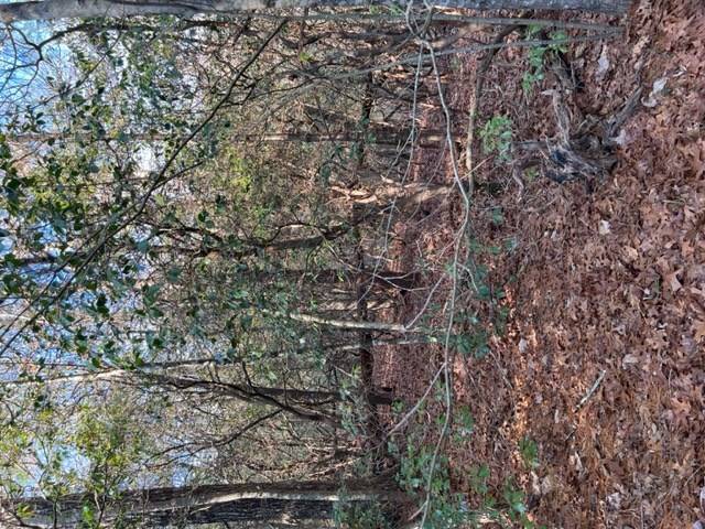 Ellijay, GA 30536,Lot 18 Frances Drive