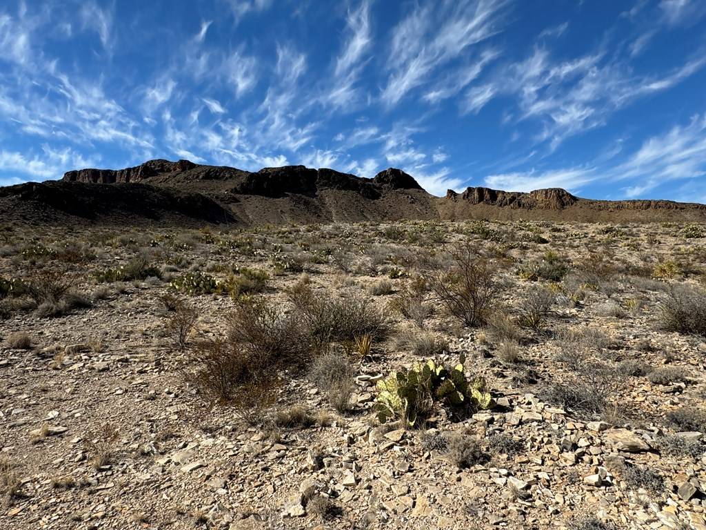 Terlingua, TX 79852,480 Kiss AVE