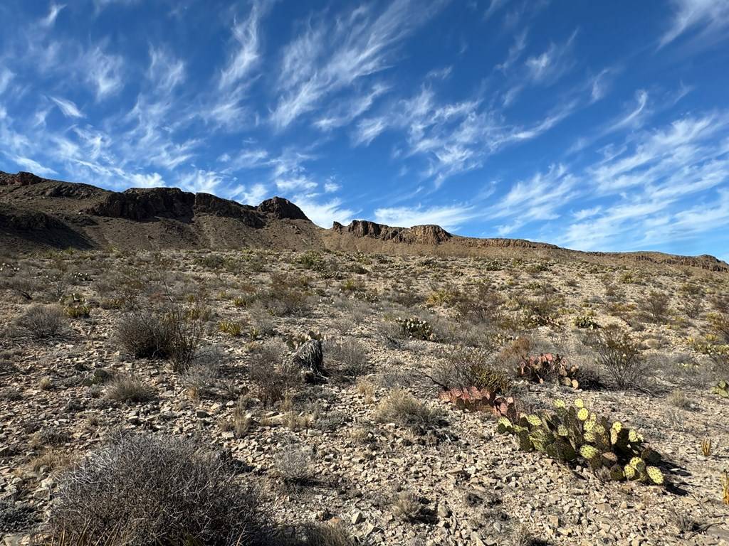 Terlingua, TX 79852,480 Kiss AVE