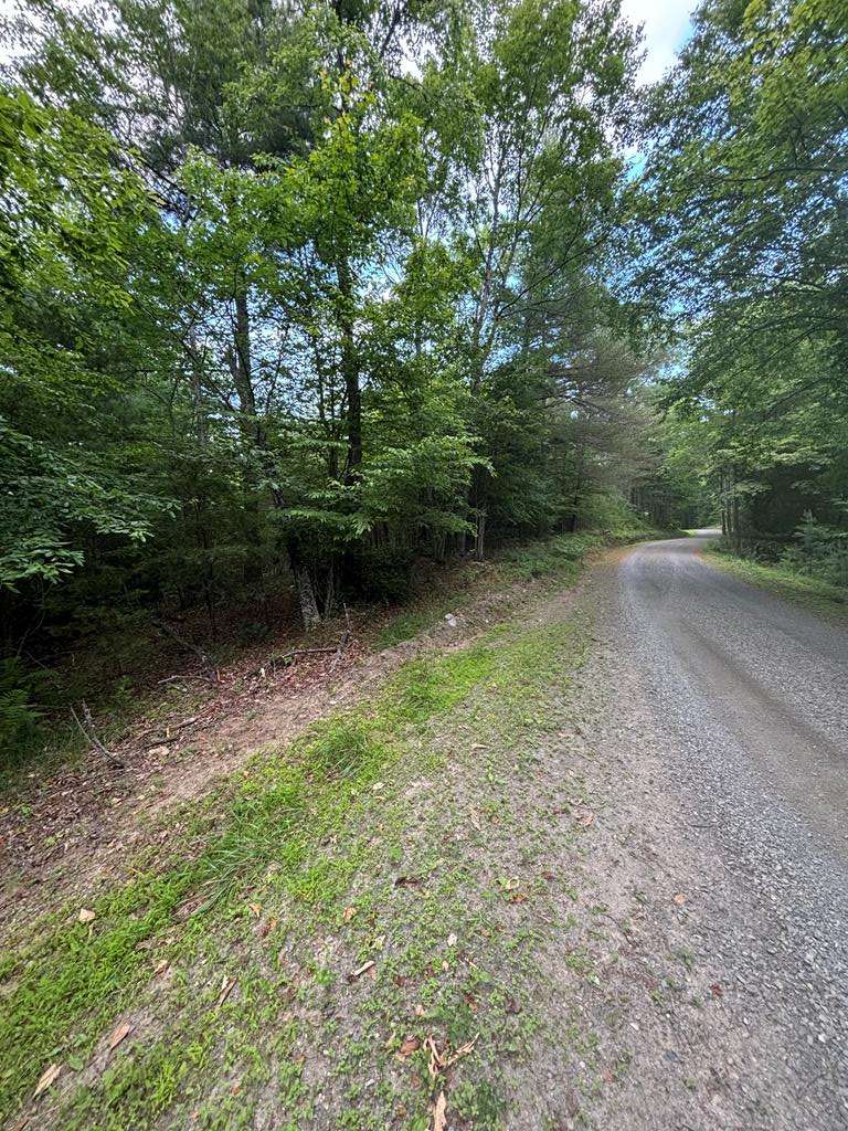 Allisonia, VA 24347,TBD TBD Drypond Rd