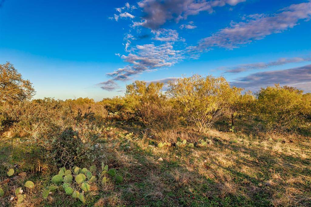 Brady, TX 76825,0000 S US Hwy 87