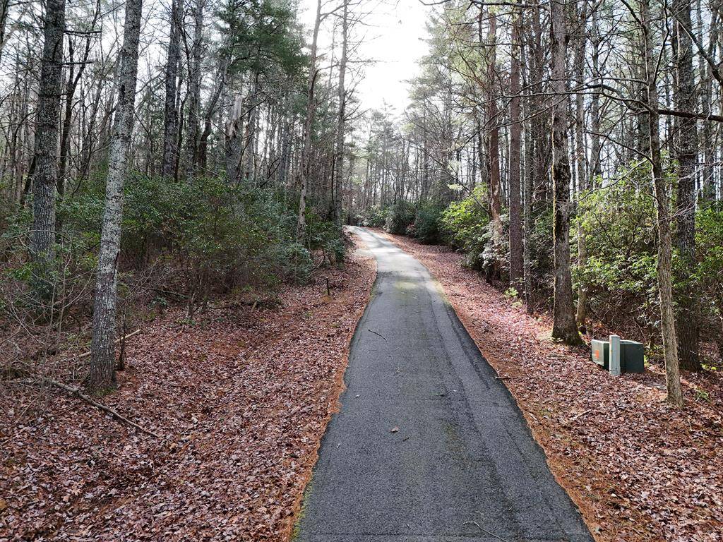 Blairsville, GA 30512,Lot 3 Papas Mountain Road