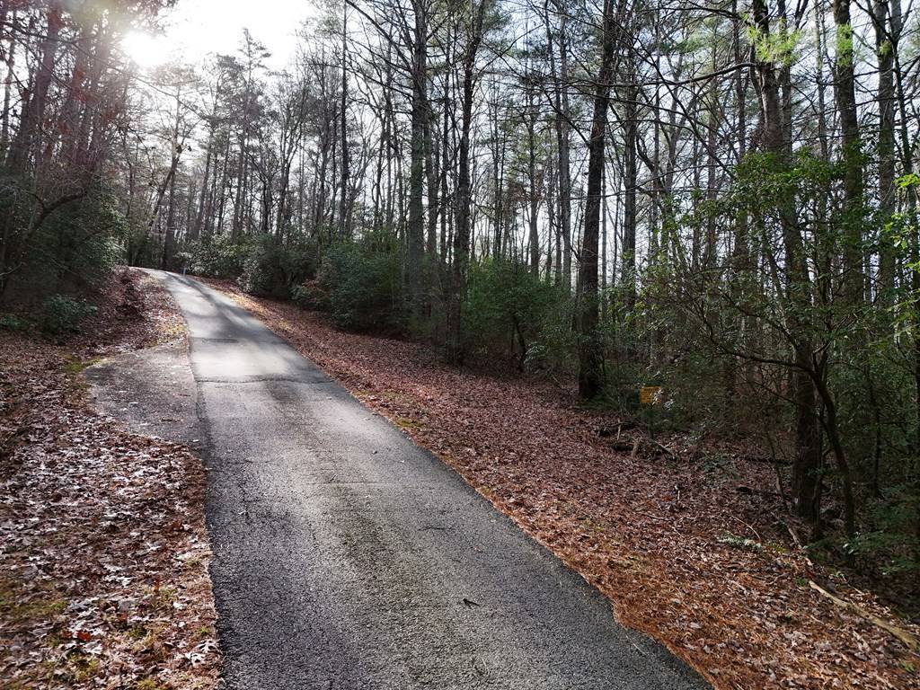 Blairsville, GA 30512,Lot 3 Papas Mountain Road