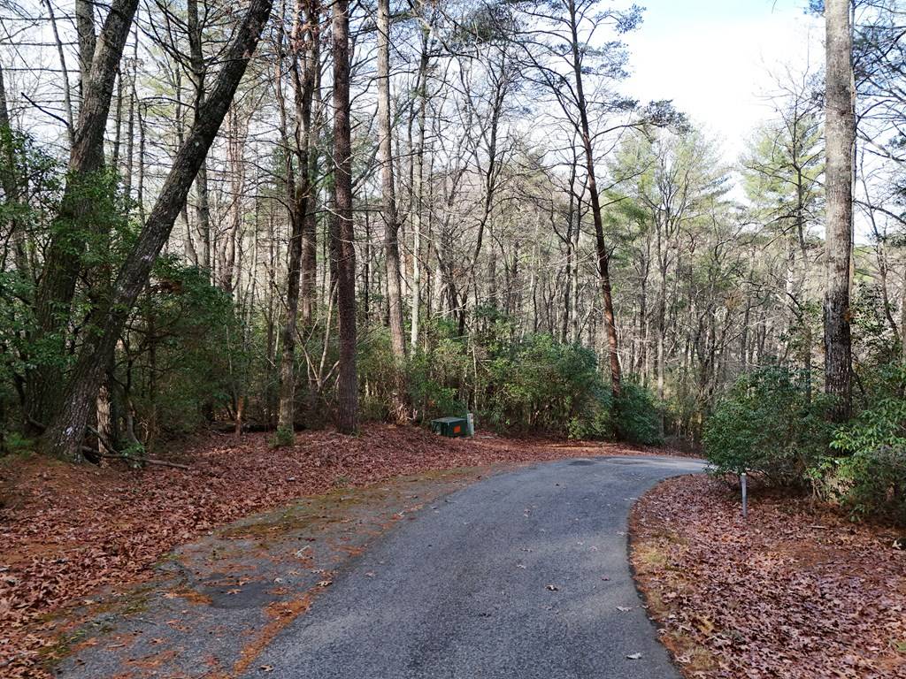 Blairsville, GA 30512,Lot 3 Papas Mountain Road