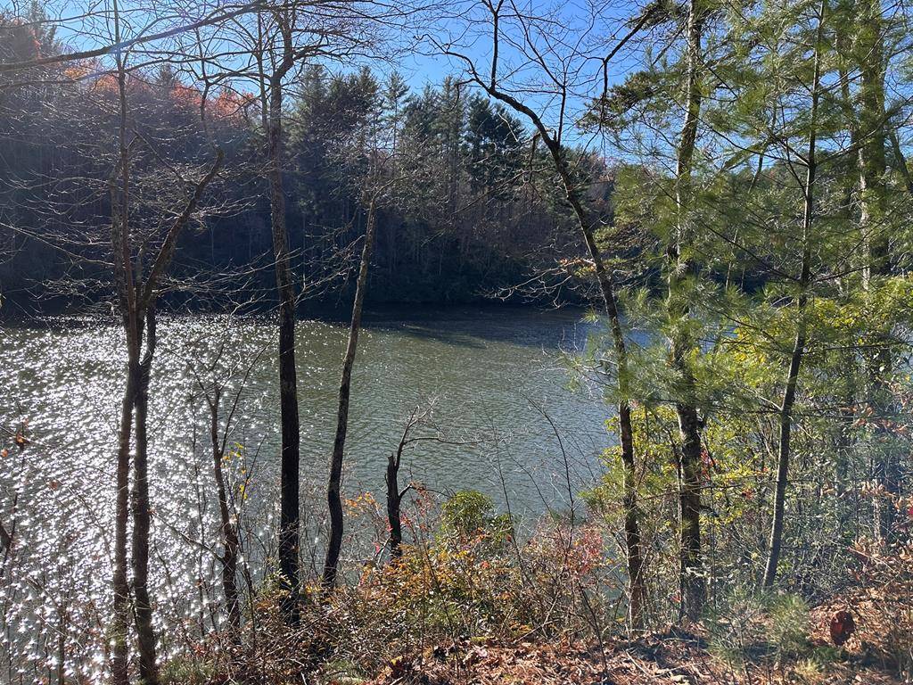 Hayesville, NC 29804,Lot 3 Mission Dam Overlook