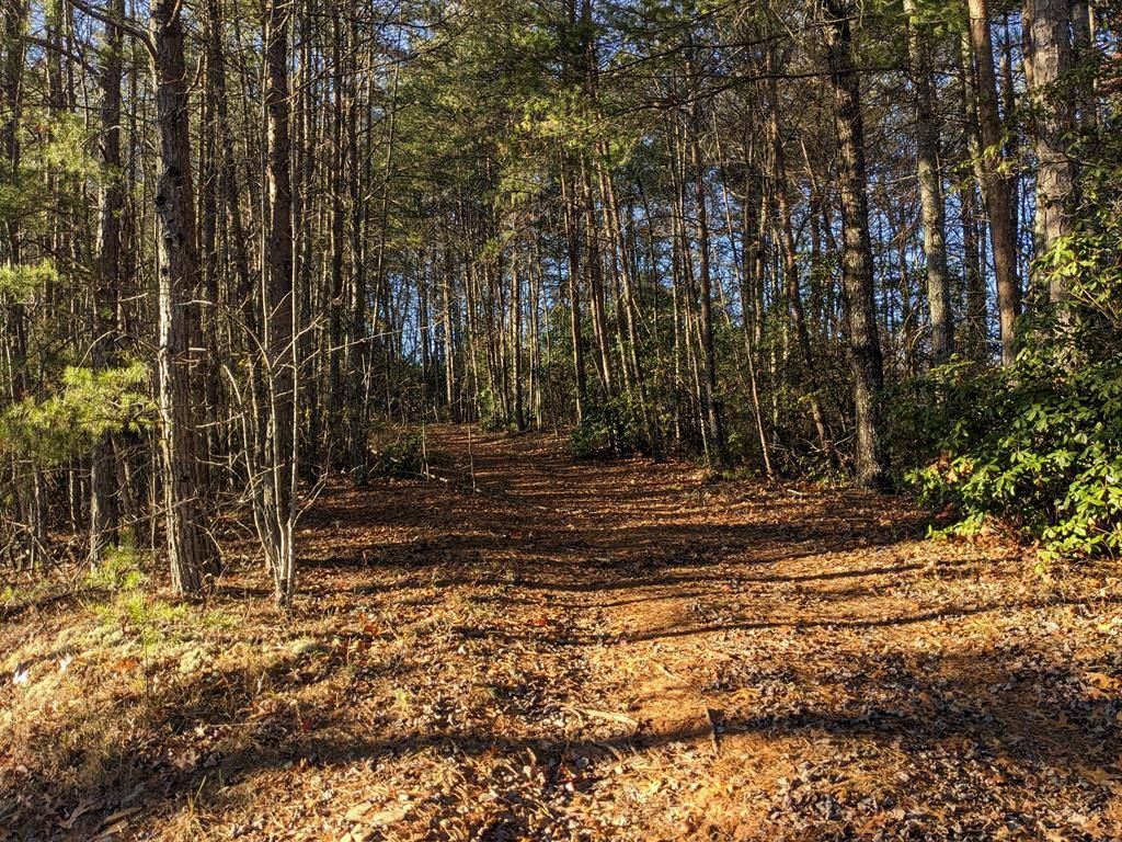 Hayesville, NC 29804,Lot 3 Mission Dam Overlook