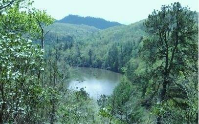 Hayesville, NC 29804,Lot 3 Mission Dam Overlook