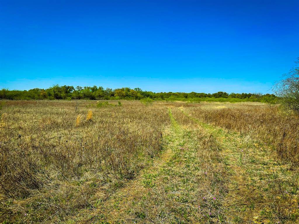 Cisco, TX 76437,TBD County Road 228