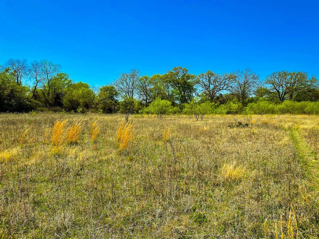 Cisco, TX 76437,TBD County Road 228