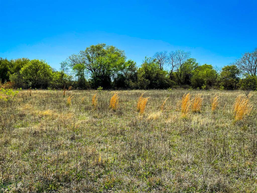 Cisco, TX 76437,TBD County Road 228