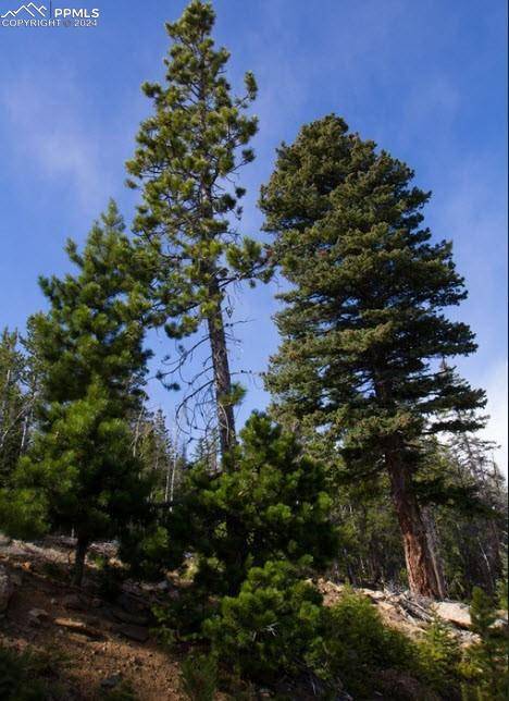 Idaho Springs, CO 80452,Unknown