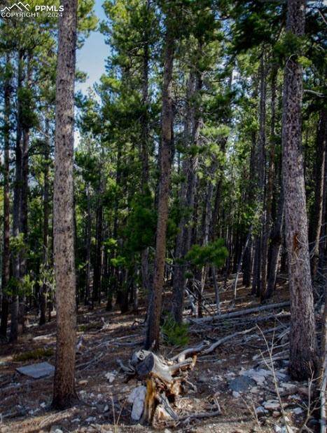 Idaho Springs, CO 80452,Unknown