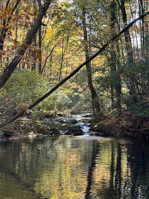 Ellijay, GA 30536,Lot 11 Clear Creek Preserve Way