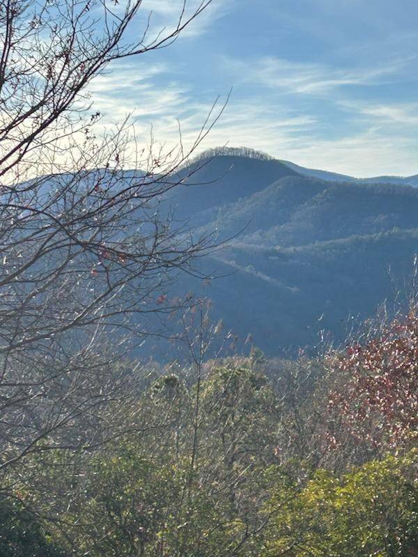 Hiawassee, GA 30546,8 The Ridges /Bill Bro