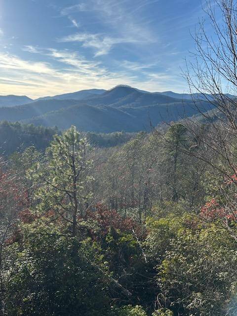 Hiawassee, GA 30546,8 The Ridges /Bill Bro