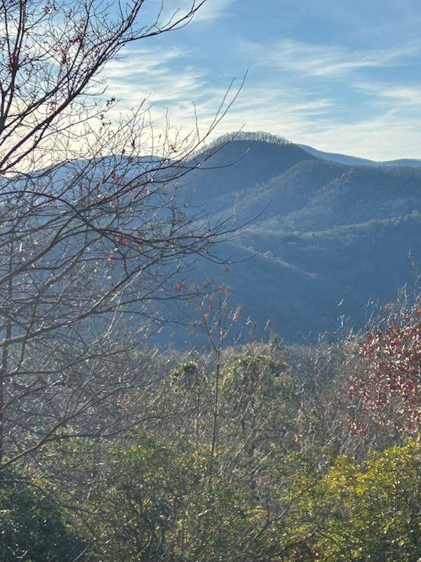 Hiawassee, GA 30546,10 The Ridges /Bill Bro