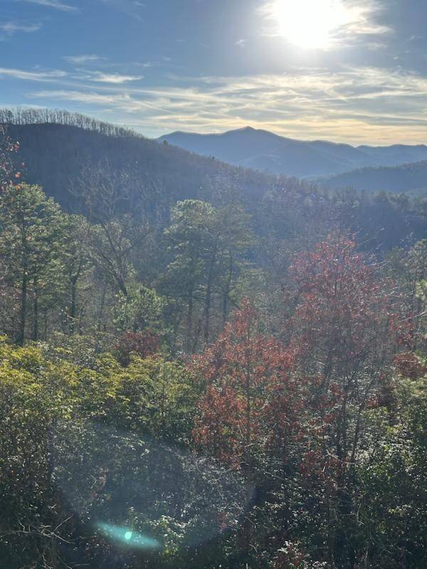 Hiawassee, GA 30546,10 The Ridges /Bill Bro