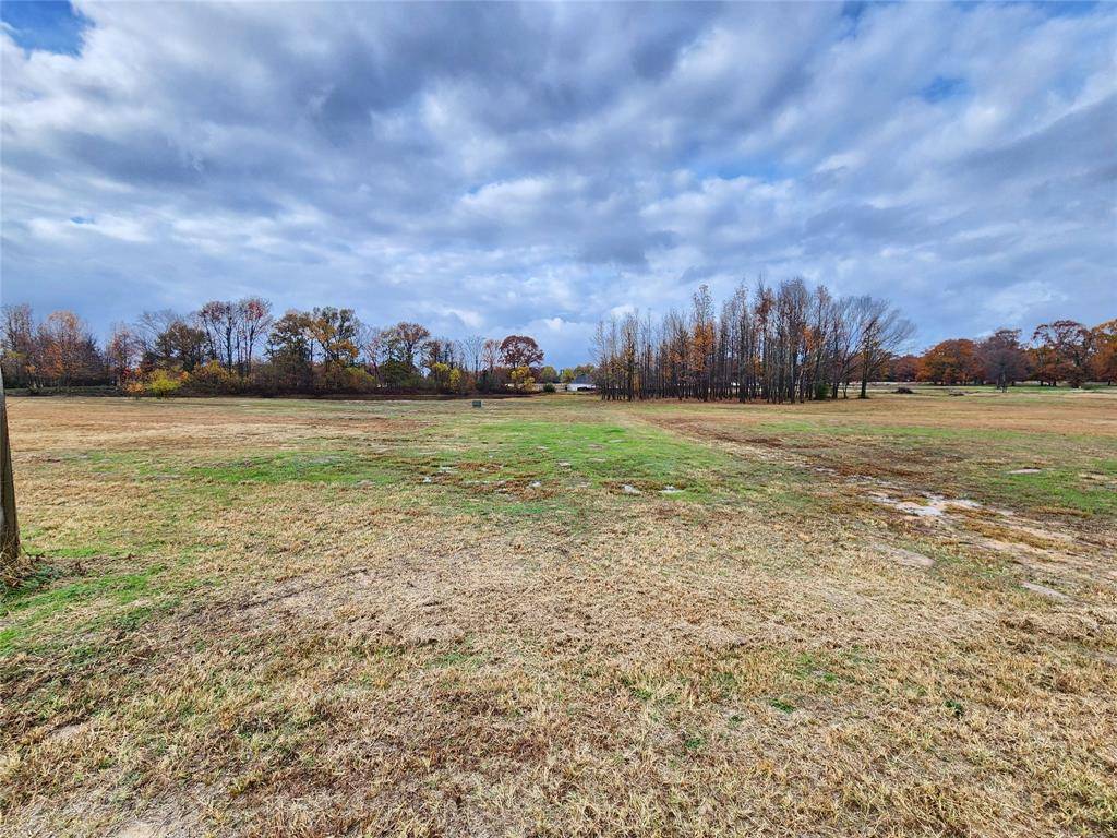 Mineola, TX 75773,LOT 23 CR 2230