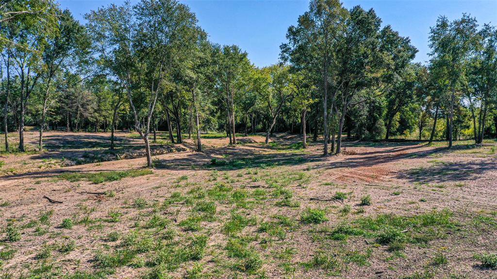 Mineola, TX 75773,TBD Holland Rd (CR 2805)