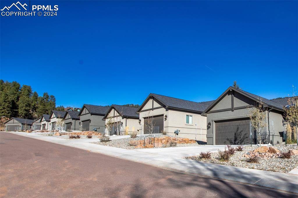 Woodland Park, CO 80863,533 Brecken CT #B