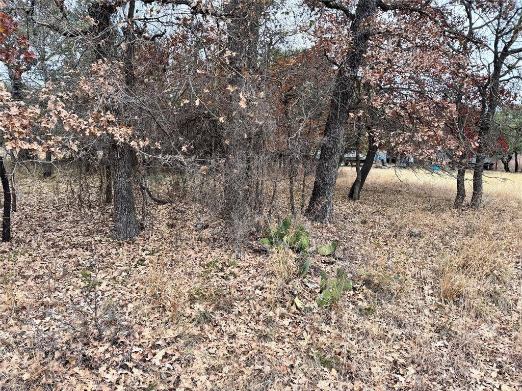 May, TX 76857,TBD Lot 674 S Lakeside Drive